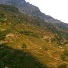 Adula foto 3 