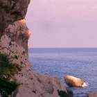 Sardegna foto 23 