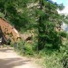Dent d