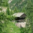 Dent d