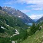 Dent d