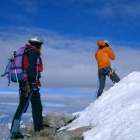 Dent d