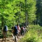 Via alta verzasca gruppo axa foto 4 