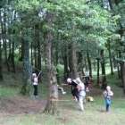 Tesserete parco giochi foto 5 