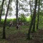 Tesserete parco giochi foto 11 