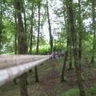 Tesserete parco giochi foto 24 