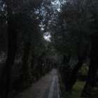 Etna foto 19 