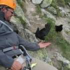 Klein bielenhorn foto 18 