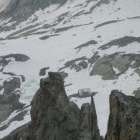 Klein bielenhorn foto 21 