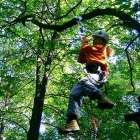 Parco giochi nel bosco foto 14 